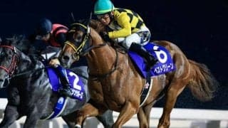 【門別・エーデルワイス賞枠順】無傷3連勝中のリュウノフライトは6枠6番