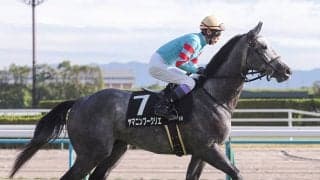 【競馬予想】混戦模様の菊花賞は「長距離戦は騎手で買え」の格言に従うべし　レジェンドたちの手腕が再び唸る