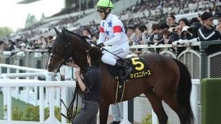 【競馬予想】上位混戦の菊花賞で最も不気味な存在--舞台を知り尽くす名手が再び絶妙な逃げを見せるか