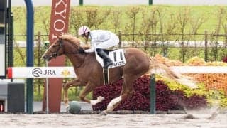 【京都2R】ブリックスアンドモルタル産駒 ゴールデンスラムが3馬身差完勝