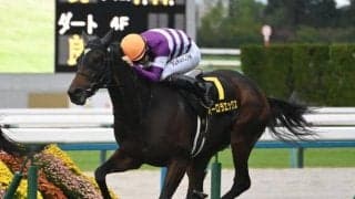 【カシオペアS結果】オーロラエックスが差し切りオープン初勝利