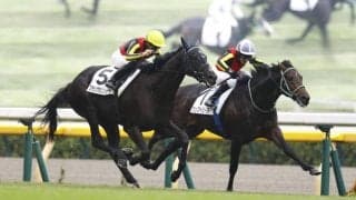 【新馬/東京5R】ウップヘリーア混戦を制する…サンデーサラブレッドのワンツー