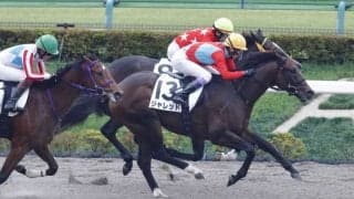 【新馬/東京4R】武豊ジャレッドが断然の支持に応える