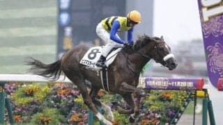 【東京2R】ヒズマスターピースが快勝…単勝1.1倍サンセリテは6着に敗れる