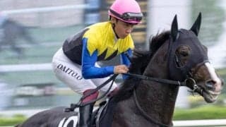 【村上特別】母は名牝アパパネ バードウォッチャーが3勝目なるか