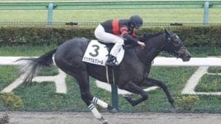 【新馬/東京6R】ホウオウルクソールが抜け出す…断然人気マクリールは2着