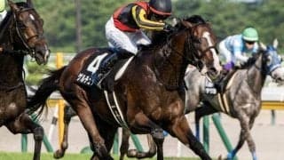 京都芝は道悪必至 菊花賞はゲルチュタールを狙え