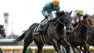 【菊花賞前日オッズ】エネルジコが3.9倍で1番人気