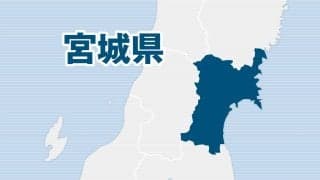 春高バレー地方大会　宮城男子は東北、女子は古川学園、石川も男女の代表決まる
