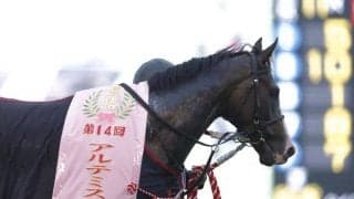 WIN5は125万円超の払戻し…アルテミスSはフィロステファニがV