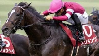 霜降り明星・粗品が菊花賞を予想 「世代トップクラスの実力」と評価するエリキングで勝負