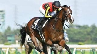 【今日の注目ポイント】3歳クラシック最後の一冠・菊花賞
