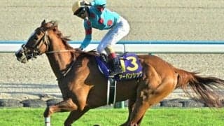 【菊花賞】過去10年の傾向を分析 中穴狙いがベストか