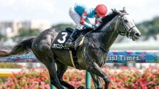 【菊花賞予想】3歳クラシック最終戦 “淀の急坂”を攻略しビッグタイトルをつかむのは