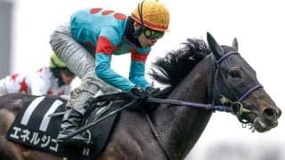 【菊花賞予想】買ってはいけない馬連パターンがある？ 過去データから探るGI菊花賞