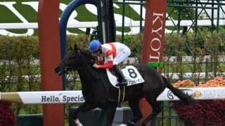 【京都4R新馬戦結果】マックスフィールド産駒ダノンバーボンが10馬身差で圧勝