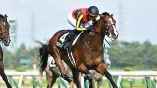 菊花賞当日の京都芝は稍重スタート 今後の雨量を要チェック