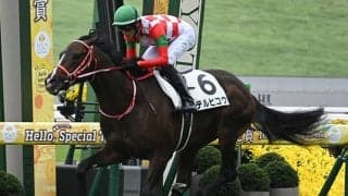 【京都5R新馬戦結果】コントレイル産駒テルヒコウが逃げ切り勝ち 5億9000万円馬エムズビギンは2着