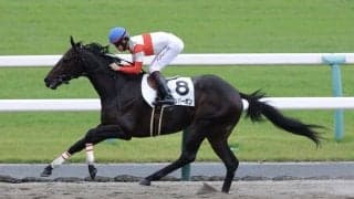 【新馬/京都4R】外国産ダノンバーボンが10馬身差で逃げ切る