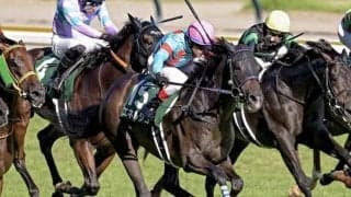 【菊花賞・馬体重】エネルジコは456kg(-12)、エリキングは508kg(-2)