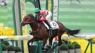 【新馬/京都5R】GLAYボーカルのTERU命名テルヒコウが逃げ切る