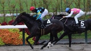 【カノープスS】シゲルショウグンがオープン2勝目