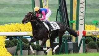 【京都3R】武豊メイショウソラリスが逃げ切る