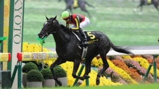 坂井瑠星騎手 JRA年間100勝達成