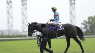 【菊花賞】ルメール「京都でのG1は特別」エネルジコがG1初制覇