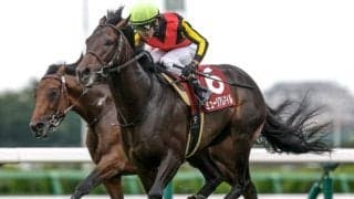 中距離王者決定戦・天皇賞(秋)とファンタジーS 米国ではブリーダーズC/今週の競馬界の見どころ