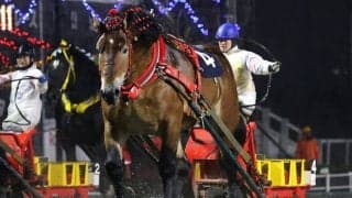 【ばんえい・北見記念】タカラキングダム快勝…北見記念で重賞7勝目