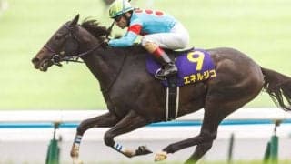 【菊花賞】ルメール「すごくいい脚を使ってくれました」レース後ジョッキーコメント