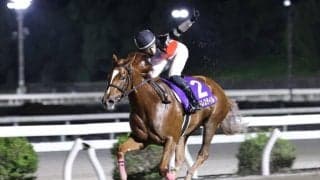 【ネクストスター高知】エンドレステイル、7馬身差の圧勝劇…デビュー2戦目で重賞制覇