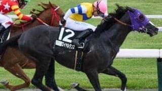 日曜劇場『ザ・ロイヤルファミリー』より前にも 現役で「ロイヤル」とつく馬はどのくらいいる？