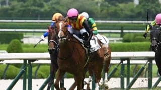 【ファンタジーS見どころ】鋭い末脚を持つフェスティバルヒルを狙う