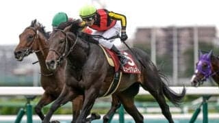 【天皇賞(秋)見どころ】休み明けを完勝したミュージアムマイルに期待