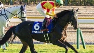 イクイノックス・ドウデュース世代4連勝へ グレード制導入後初の6歳Vとなるか