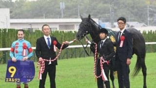 【菊花賞】売上は205億4803万9900円で昨年より約19.5億円増加