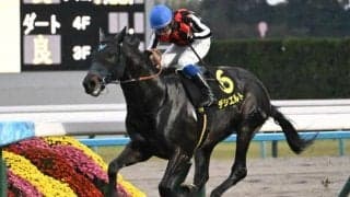 【先週のJRA抹消馬】昨年の中日新聞杯を制したデシエルト、今夏にオープン勝ちのローズスターなど