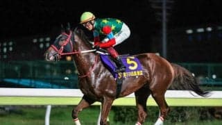【浦和・埼玉新聞栄冠賞枠順】5連勝中のマウンテンローレルは8枠10番、ジェンティルドンナの半弟スレイマンは1枠1番