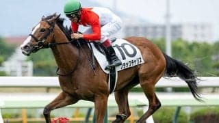 【ファンタジーS想定騎手】ブラックチャリスは浜中俊騎手、フェスティバルヒルはC.デムーロ騎手