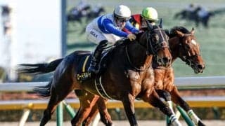 【AI予想・天皇賞(秋)】今年の3歳馬は人気先行の恐れあり!? 経験豊富な古馬3頭に期待を寄せる人工知能