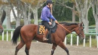 母アルビアーノはGIでも活躍 インディチャンプ産駒のイトシサが土曜東京で初陣/関東馬メイクデビュー情報