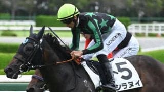 【ファンタジーS展望】データが示す波乱の使者！新馬勝ちシラヌイに妙味あり