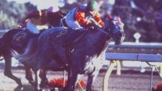 タマモクロス対オグリキャップの芦毛対決 史上初の天皇賞春秋制覇が生まれた88年
