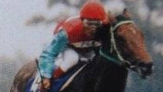 1位は5馬身差の圧巻逃げ切りV 天皇賞(秋)着差ランキングTOP5