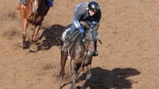 マンビアの2023(バステール)など、先週の入厩情報/栗東トレセンニュース