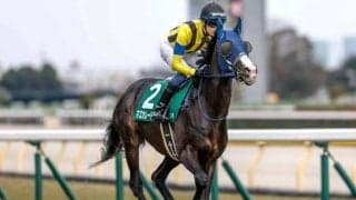 【天皇賞(秋)予想オッズ】マスカレードボールが予想1番人気