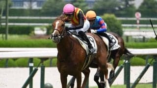 【ファンタジーS予想オッズ】フェスティバルヒルが予想1番人気