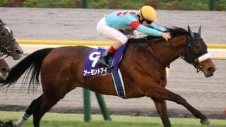 シンボリルドルフの壁を越えた芝GI・8勝目 アーモンドアイの偉業達成から5年